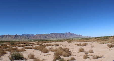 This 40 acre land/lot is ideal for off gridders - image 16