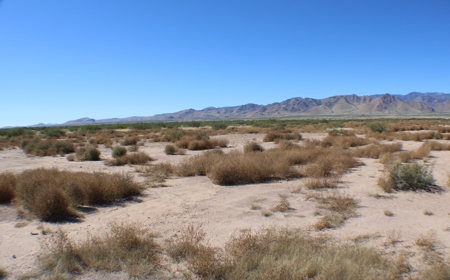This 40 acre land/lot is ideal for off gridders - image 15