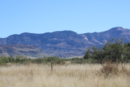 This 40 acre land/lot is ideal for off gridders - image 5