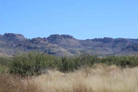This 40 acre land/lot is ideal for off gridders - image 6