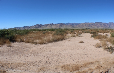 This 40 acre land/lot is ideal for off gridders - image 14