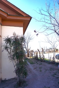 Walking distance to downtown Marfa! 3BR 2Bath 2474 Sqft Home - image 7