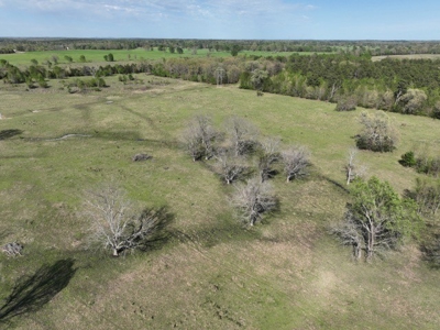 Ranch for Auction in Swink, Oklahoma - image 14