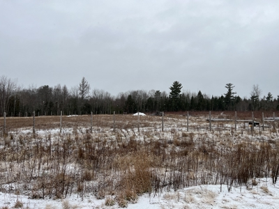 Maine farm for sale - image 5