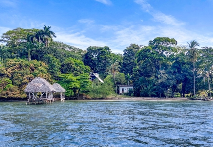 Titled Beachfront Home and Casita for sale,  Bocas del Toro - image 42