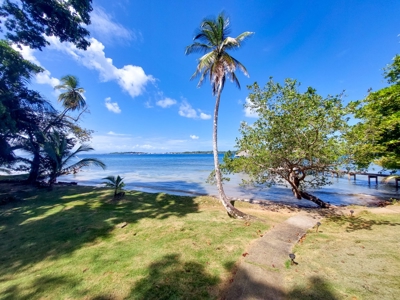 Titled Beachfront Home and Casita for sale,  Bocas del Toro - image 30