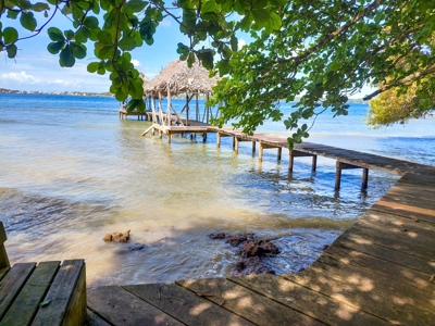 Titled Beachfront Home and Casita for sale,  Bocas del Toro - image 29