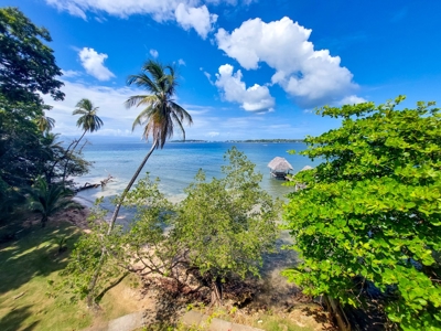 Titled Beachfront Home and Casita for sale,  Bocas del Toro - image 9