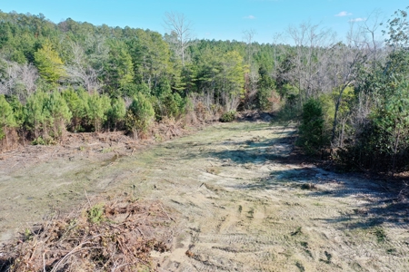 Trio Farm Hunting Tract - image 8