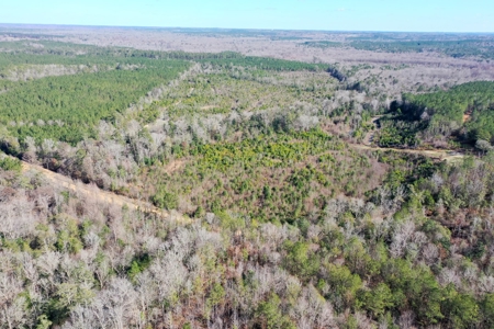 Trio Farm Hunting Tract - image 34