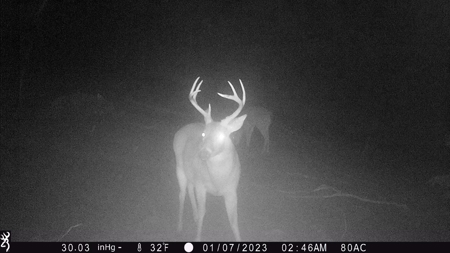 Trio Farm Hunting Tract - image 39