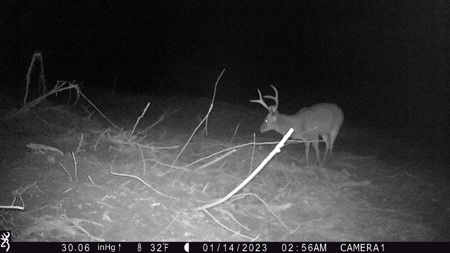 Trio Farm Hunting Tract - image 44