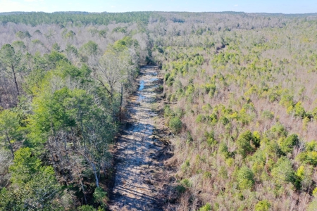Trio Farm Hunting Tract - image 14