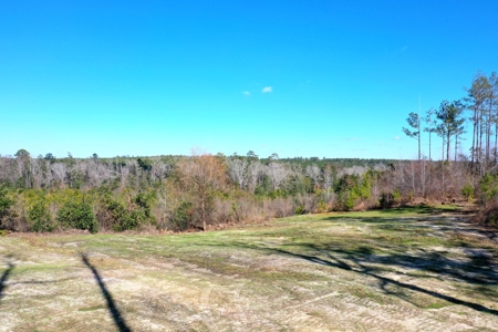 Trio Farm Hunting Tract - image 2