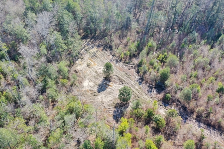 Trio Farm Hunting Tract - image 16