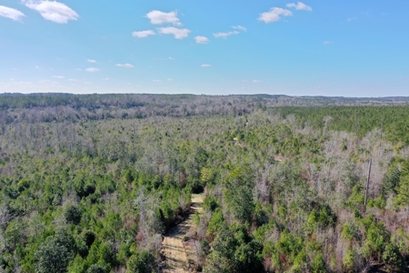 Trio Farm Hunting Tract - image 11