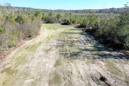Trio Farm Hunting Tract - image 29