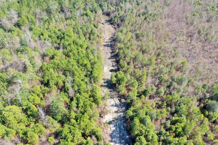 Trio Farm Hunting Tract - image 13