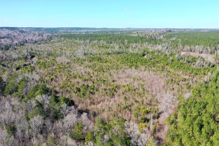 Trio Farm Hunting Tract - image 15