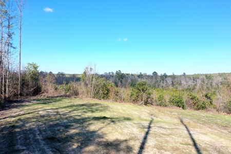 Trio Farm Hunting Tract - image 4