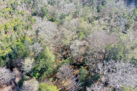 Trio Farm Hunting Tract - image 31