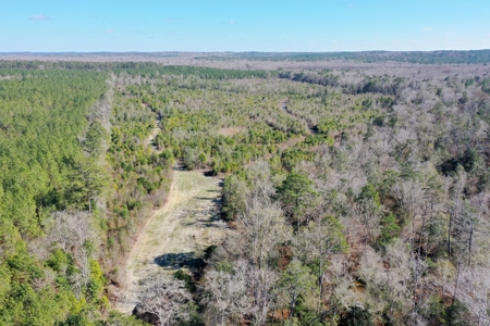 Trio Farm Hunting Tract - image 27