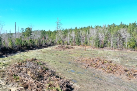 Trio Farm Hunting Tract - image 10