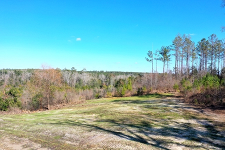 Trio Farm Hunting Tract - image 1