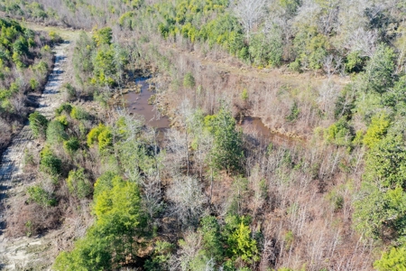 Trio Farm Hunting Tract - image 19