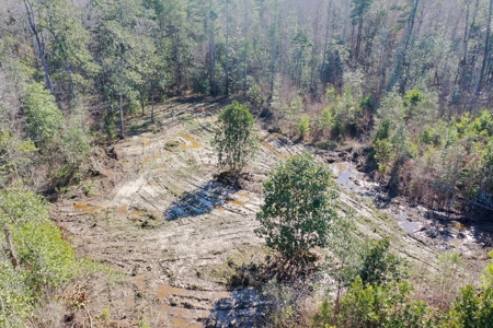 Trio Farm Hunting Tract - image 18