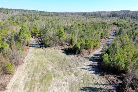 Trio Farm Hunting Tract - image 30