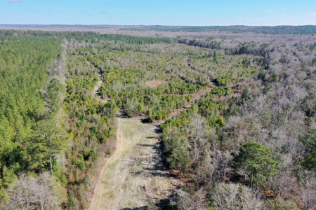 Trio Farm Hunting Tract - image 28