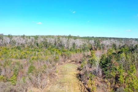 Trio Farm Hunting Tract - image 23