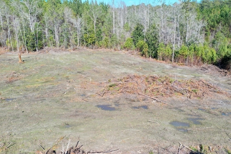 Trio Farm Hunting Tract - image 9