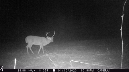 Trio Farm Hunting Tract - image 38