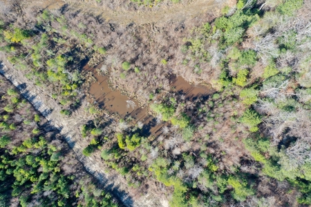 Trio Farm Hunting Tract - image 25