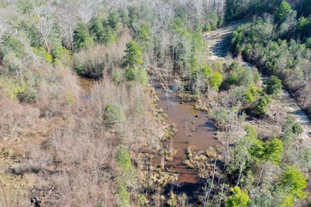 Trio Farm Hunting Tract - image 22