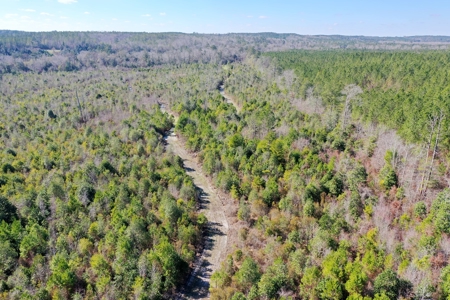 Trio Farm Hunting Tract - image 12