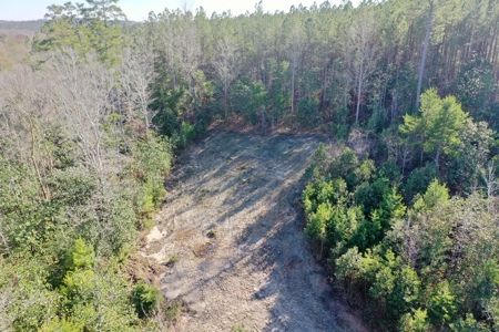 Trio Farm Hunting Tract - image 21