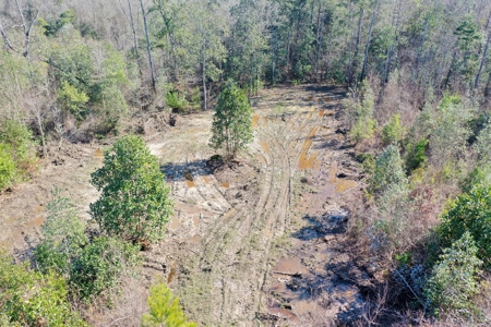 Trio Farm Hunting Tract - image 17