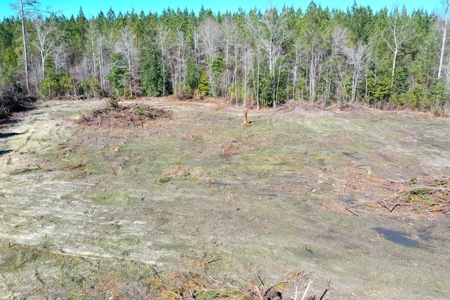Trio Farm Hunting Tract - image 7