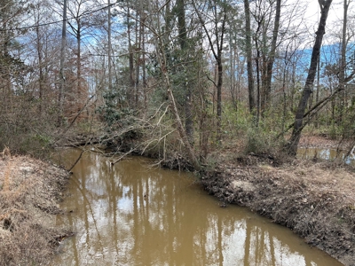 Trio Farm Hunting Tract - image 46