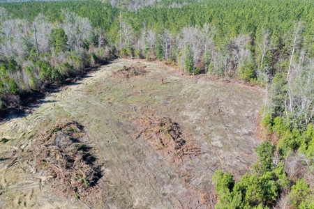 Trio Farm Hunting Tract - image 6