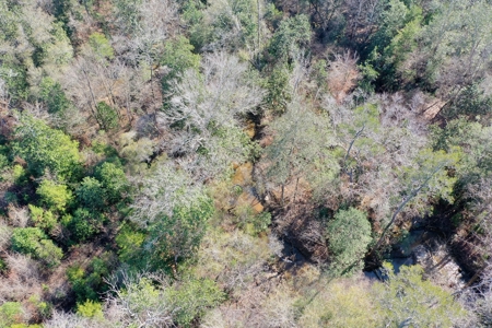 Trio Farm Hunting Tract - image 32