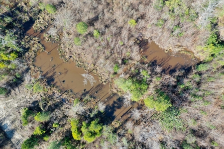 Trio Farm Hunting Tract - image 26