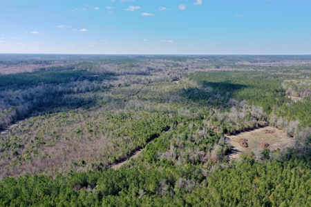 Trio Farm Hunting Tract - image 5