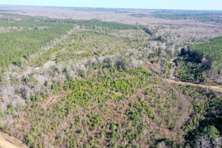 Trio Farm Hunting Tract - image 35