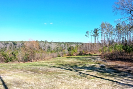 Trio Farm Hunting Tract - image 3