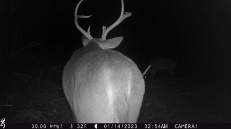 Trio Farm Hunting Tract - image 43