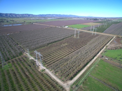 Vacaville, California Land and Orchards for Sale - image 6